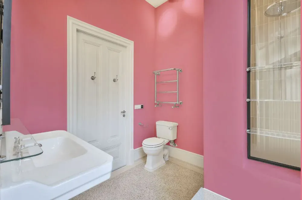 Sherwin Williams Pink Moment bathroom