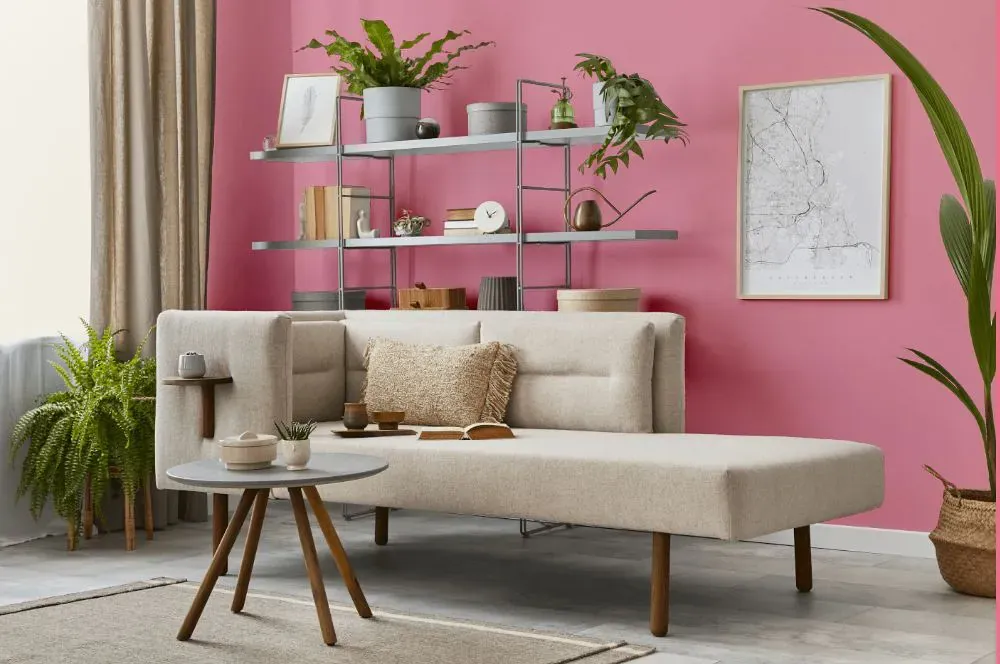 Sherwin Williams Pink Moment living room