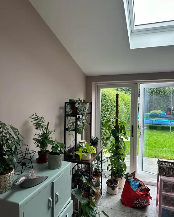 Dulux Pink Parchment wall paint 