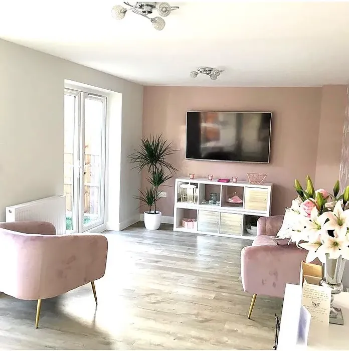 Dulux 30YR 49/097 living room accent wall