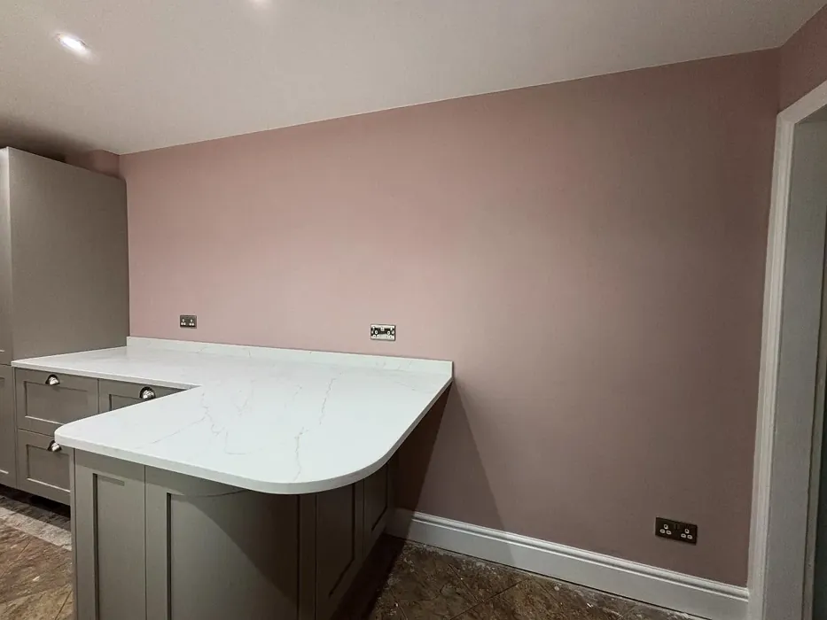 Dulux 30YR 49/097 kitchen paint review