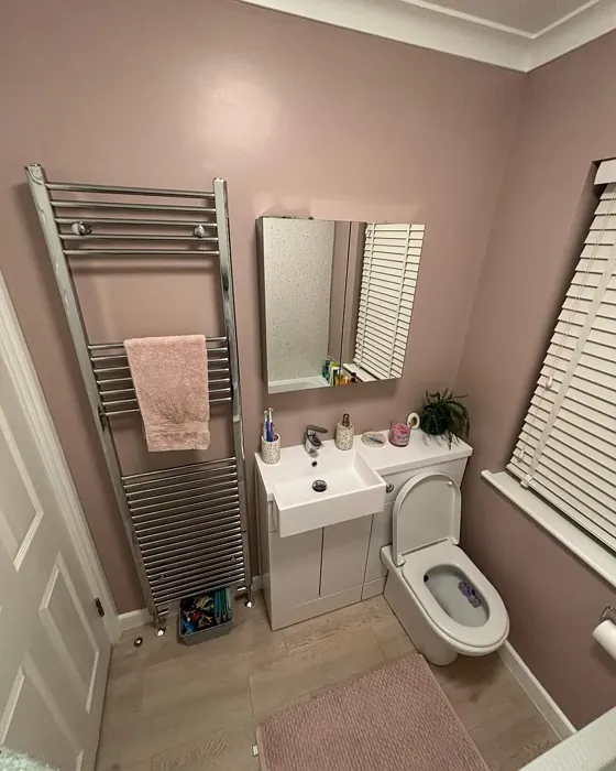 Pink Parchment bathroom color review