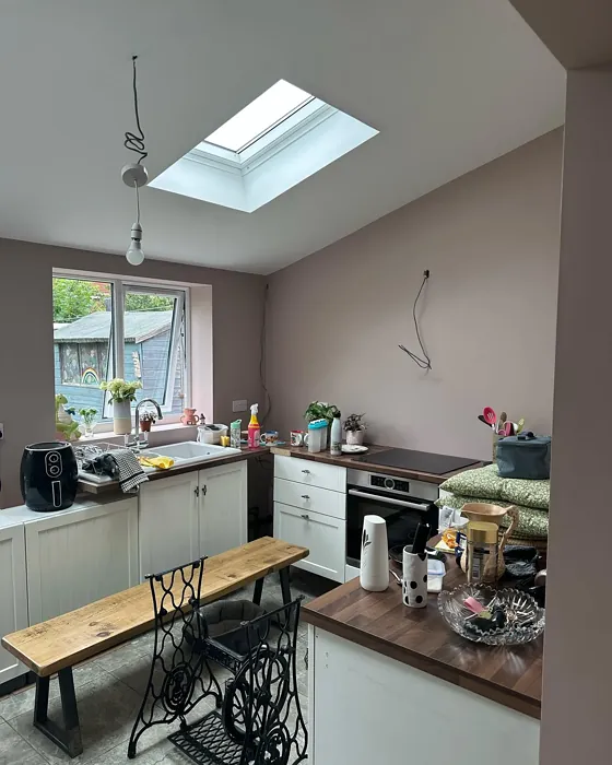 Dulux 30YR 49/097 kitchen interior