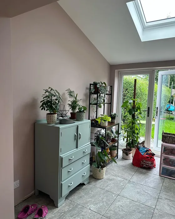 Dulux Faded Bloom dining room interior
