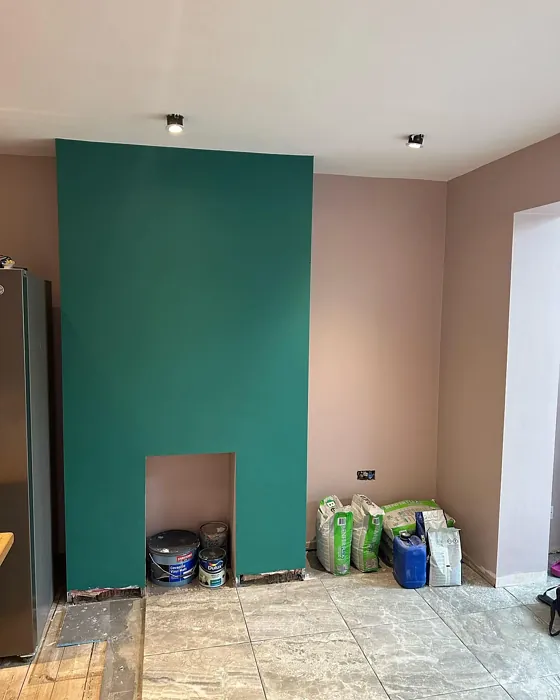 Dulux Nomadic Glow 3 dining room paint