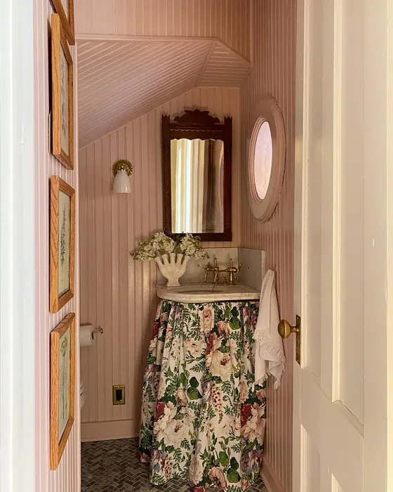 SW Pink Shadow bathroom paint review