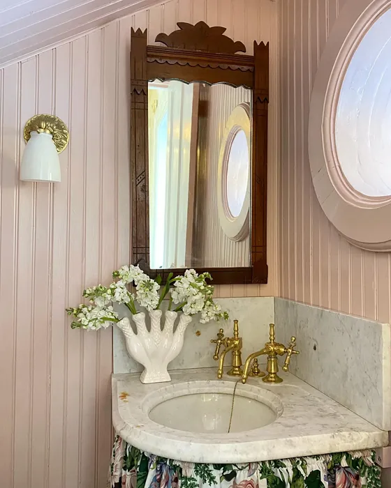 SW 0070 bathroom color