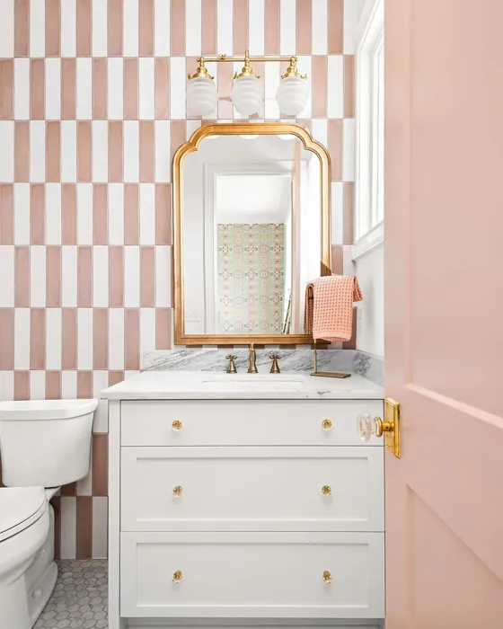 Sherwin Williams Pink Shadow bathroom door color
