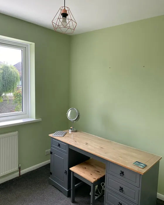 Dulux Pistachio Creme home office color