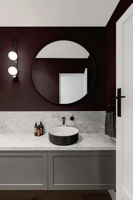 Sherwin Williams Plum Brown minimalist bathroom