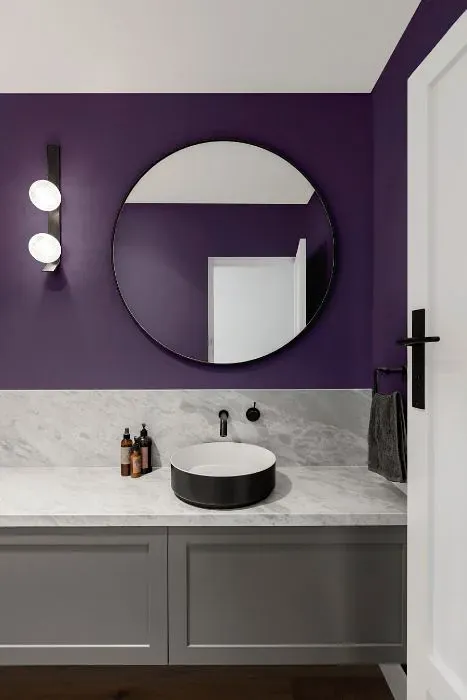Sherwin Williams Plummy minimalist bathroom