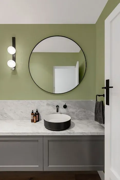 Sherwin Williams Plymouth Green minimalist bathroom