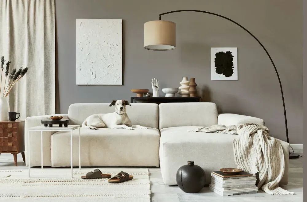Sherwin Williams Polished Concrete cozy living room