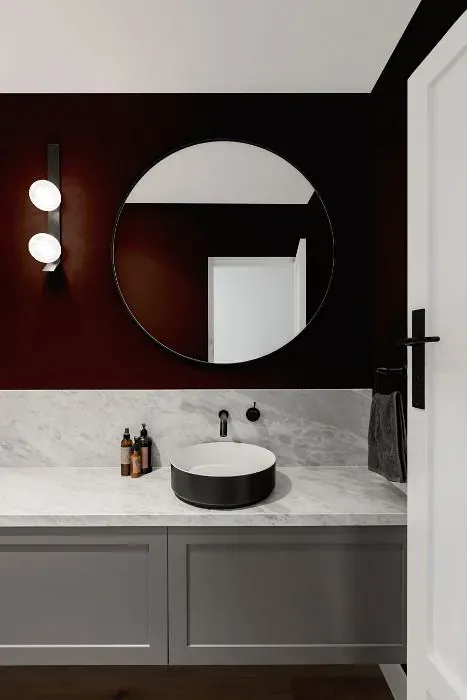 Sherwin Williams Polished Mahogany minimalist bathroom