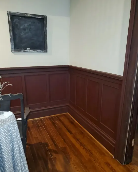 SW Polished Mahogany wall panelling color