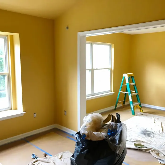 SW Polvo de Oro wall paint color