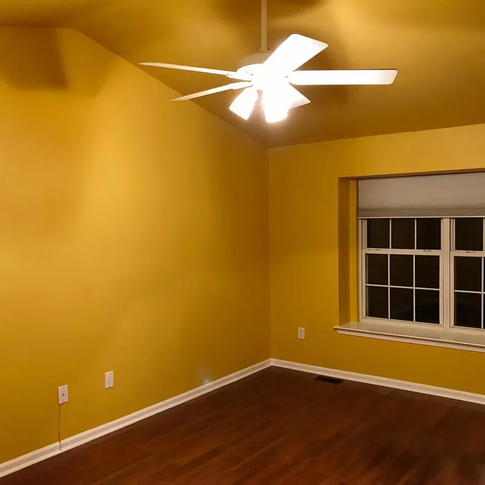 SW Polvo de Oro wall paint color review