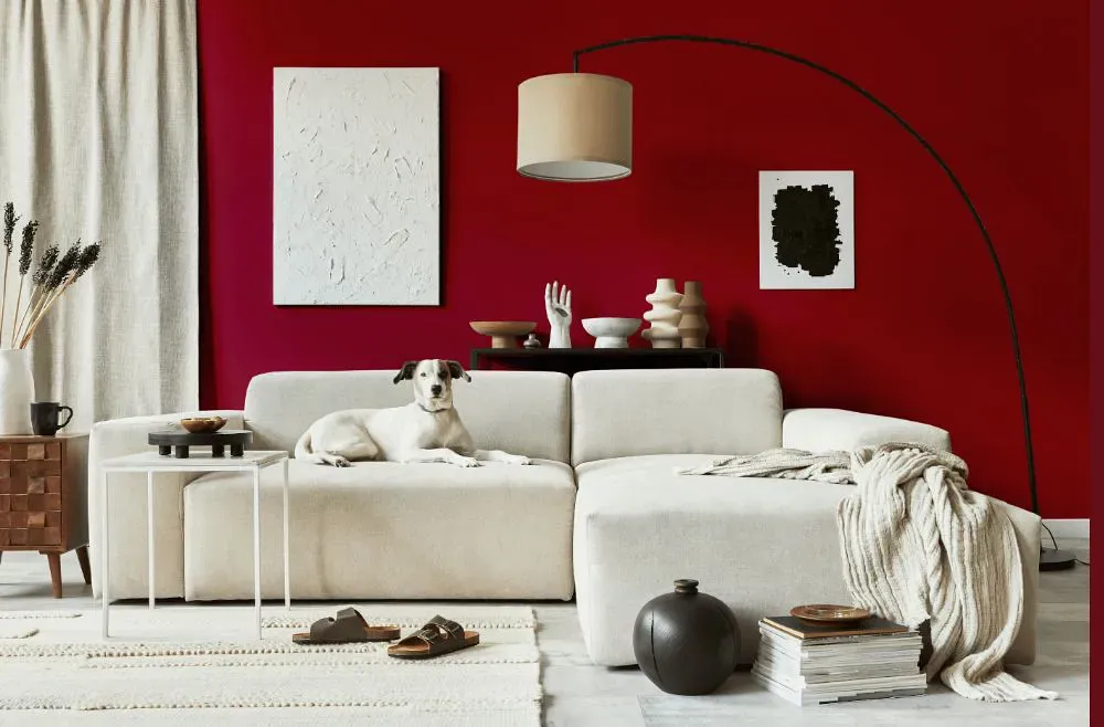Sherwin Williams Pomegranate cozy living room