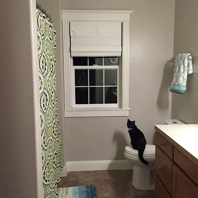 Sherwin Williams Popular Gray bathroom review