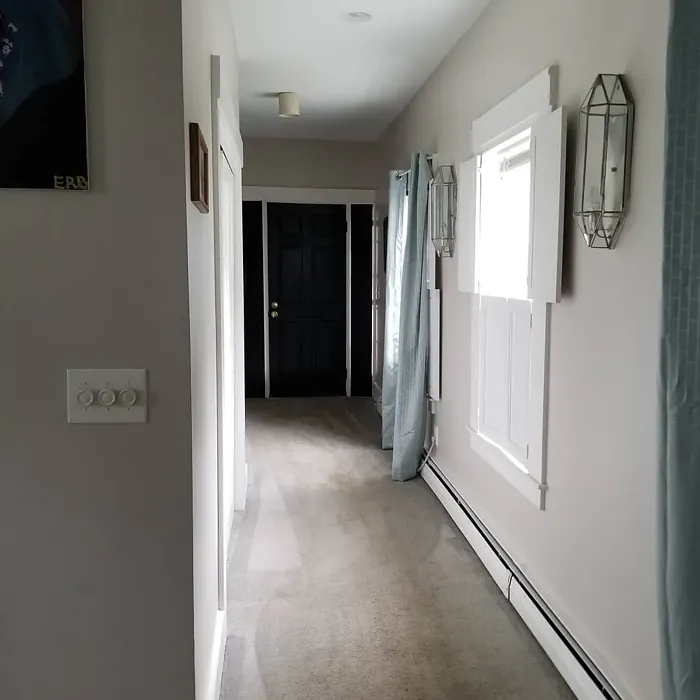 SW Popular Gray hallway color review