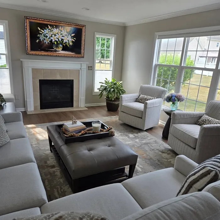 SW 6071 living room review