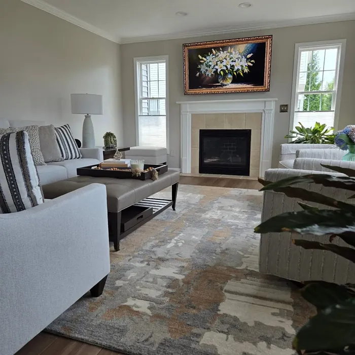 SW 6071 living room photo