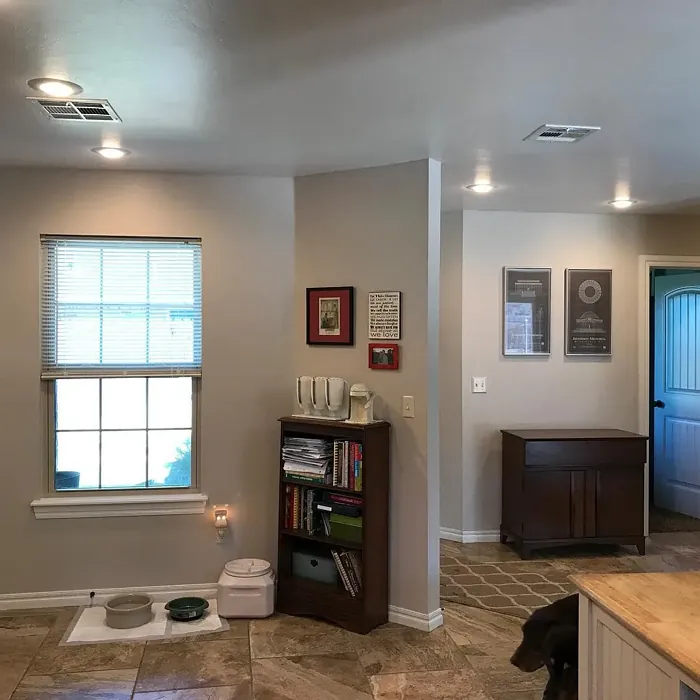 Sherwin Williams Popular Gray wall paint 