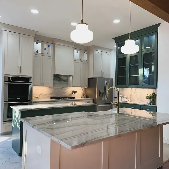 SW Popular Gray kitchen cabinets review