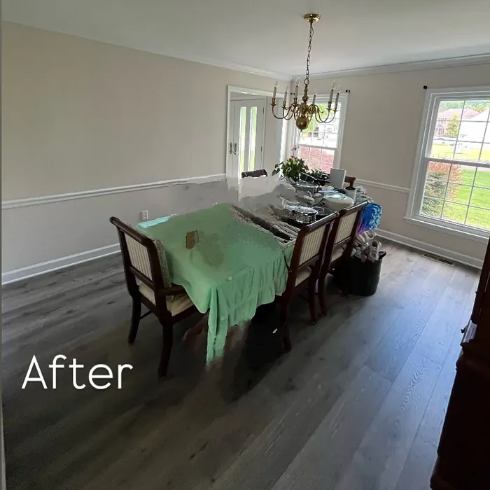 SW Porcelain dining room paint SW Porcelain dining room paint