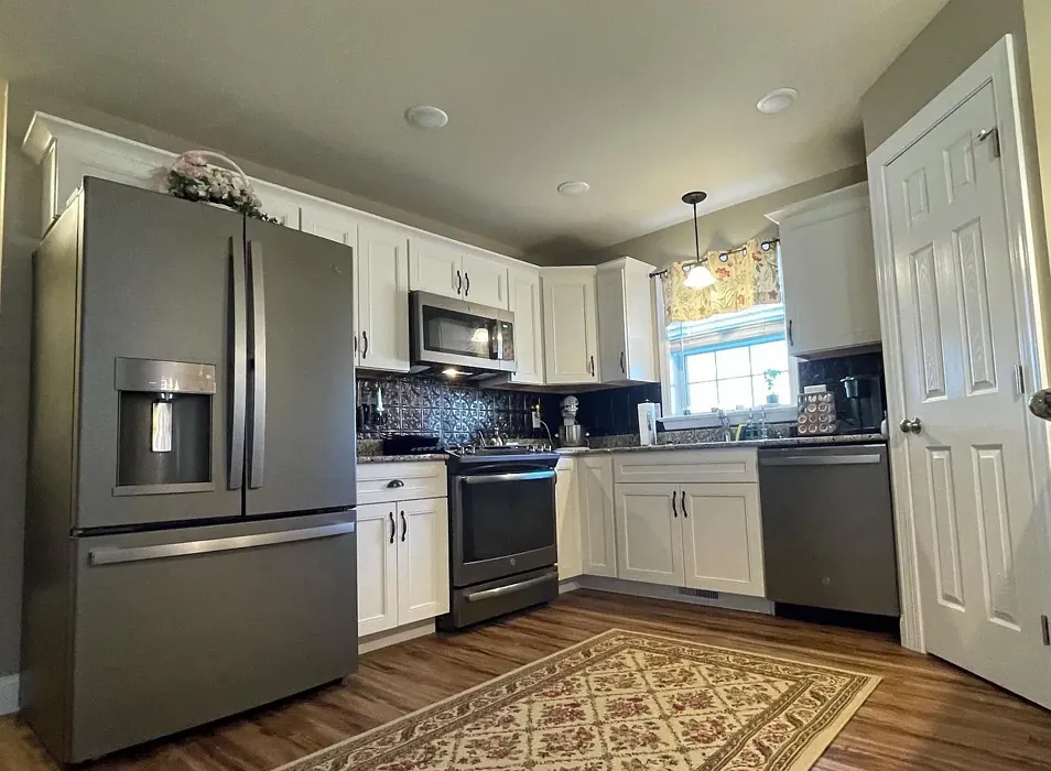 SW 7548 kitchen paint