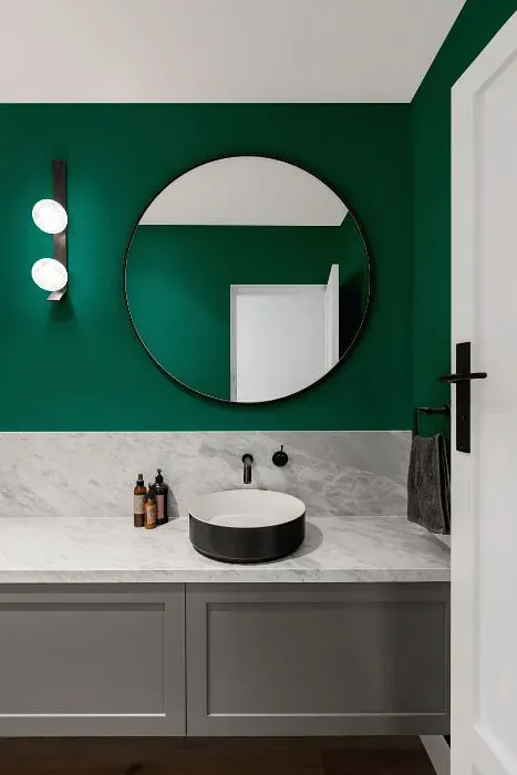 Sherwin Williams Poseidon minimalist bathroom