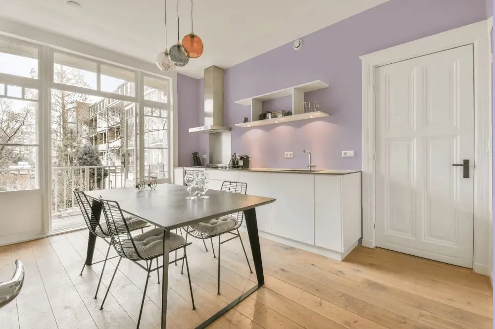 Sherwin Williams Potentially Purple kitchen review