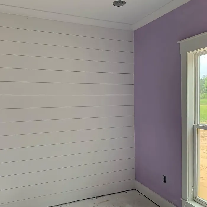SW Potentially Purple accent wall color
