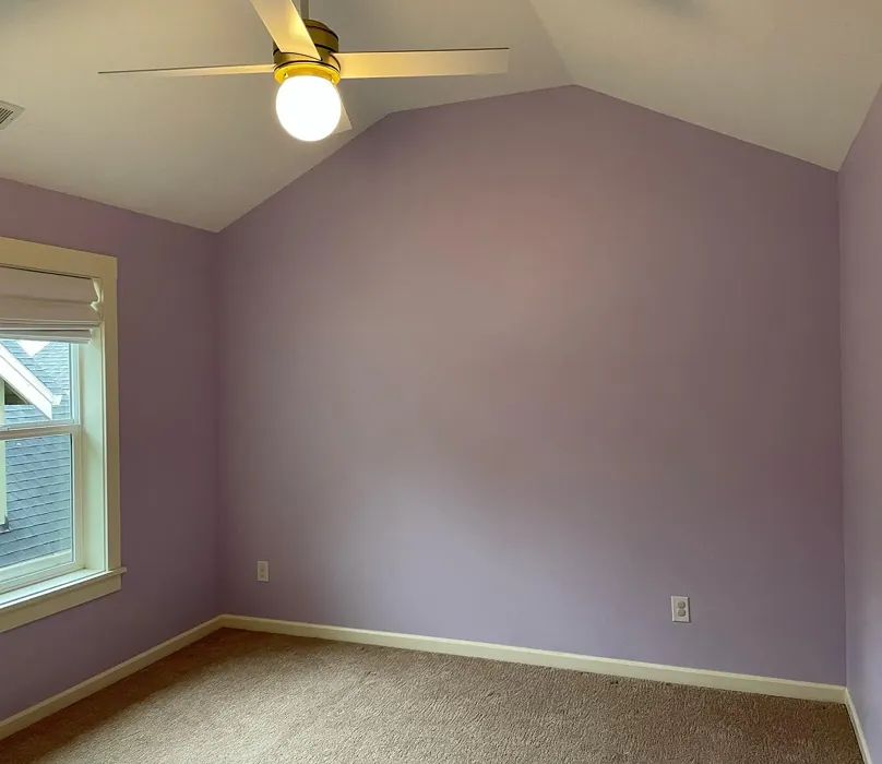 Sherwin Williams Potentially Purple wall paint 