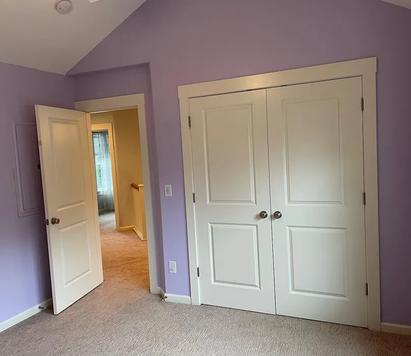 Sherwin Williams Potentially Purple wall paint color