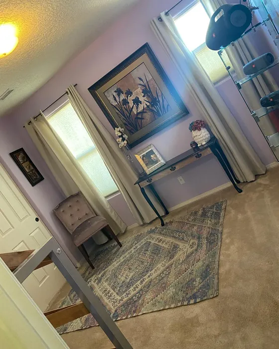 Sherwin Williams Potentially Purple hallway color
