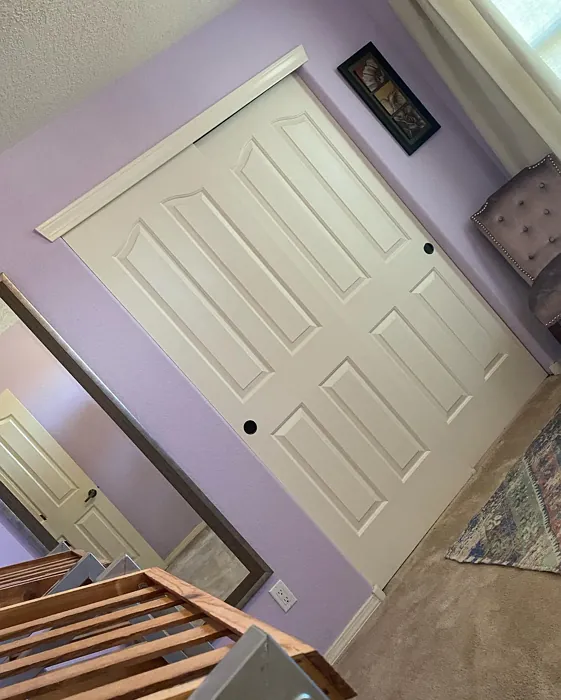 Sherwin Williams Potentially Purple wall paint review