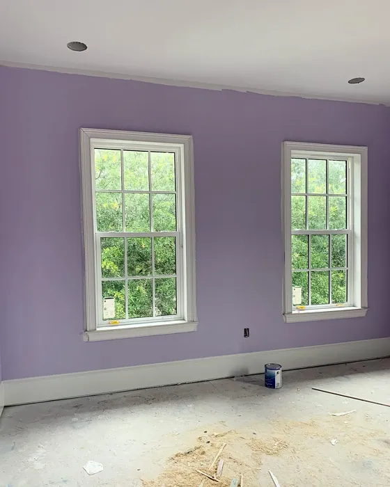 Sherwin Williams Potentially Purple wall paint makeover