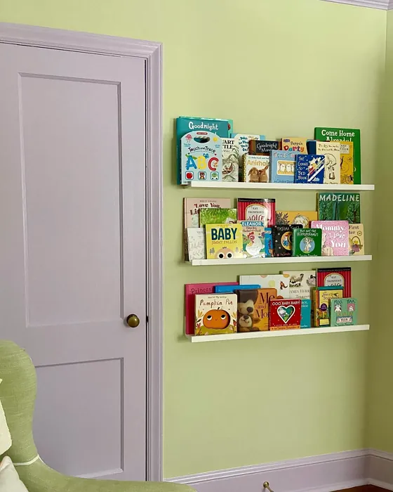 Sherwin Williams Potentially Purple door paint