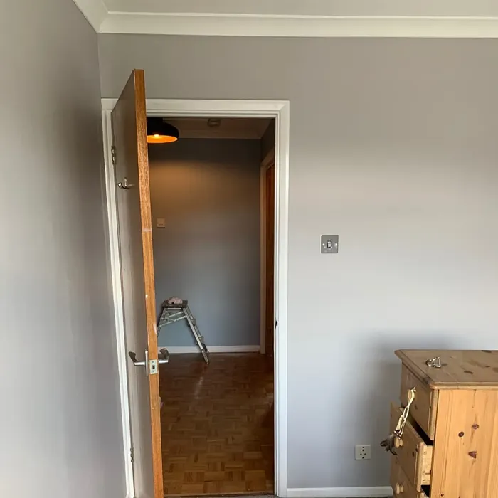 Dulux 50RR 54/018 wall paint review