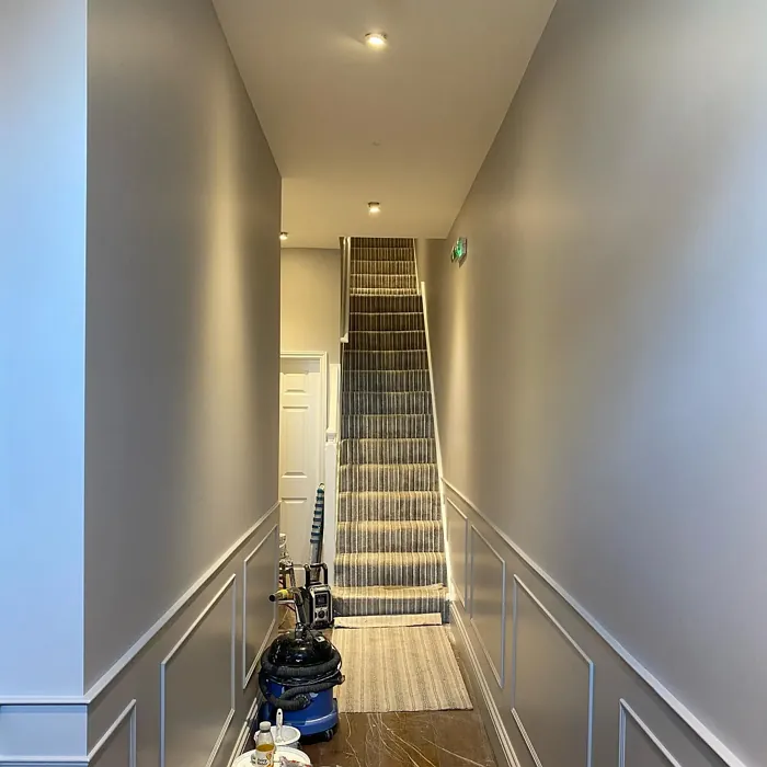 Dulux Potters Clay 2 hallway color