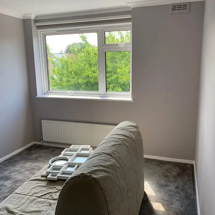 Potters Clay 2 wall paint review