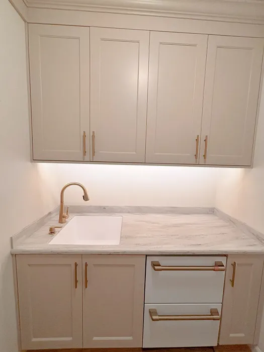 SW Practical Beige painted cabinets 