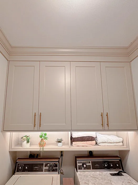 Sherwin Williams Practical Beige painted cabinets 