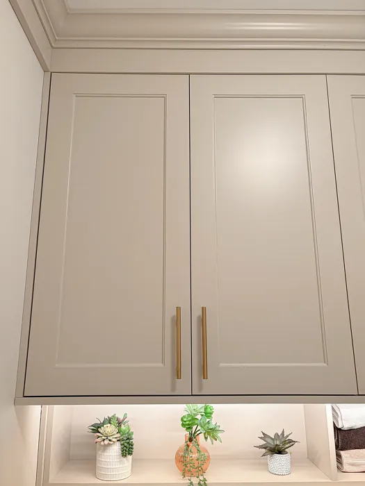 SW 6100 painted cabinets color