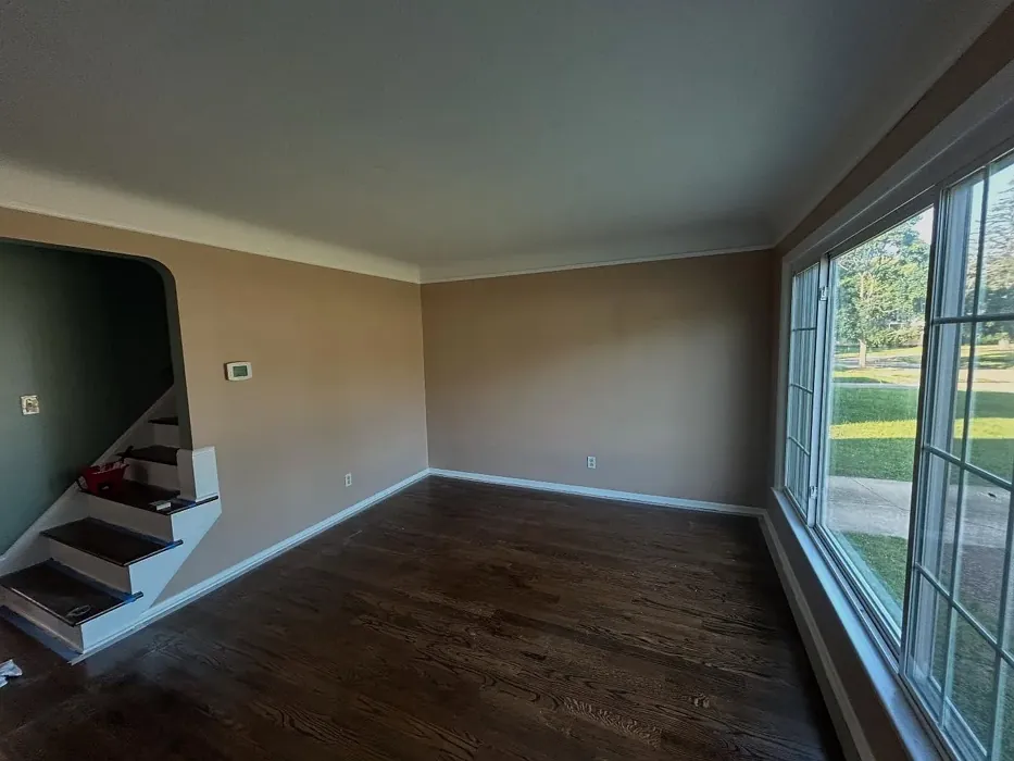 Practical Beige wall paint color review