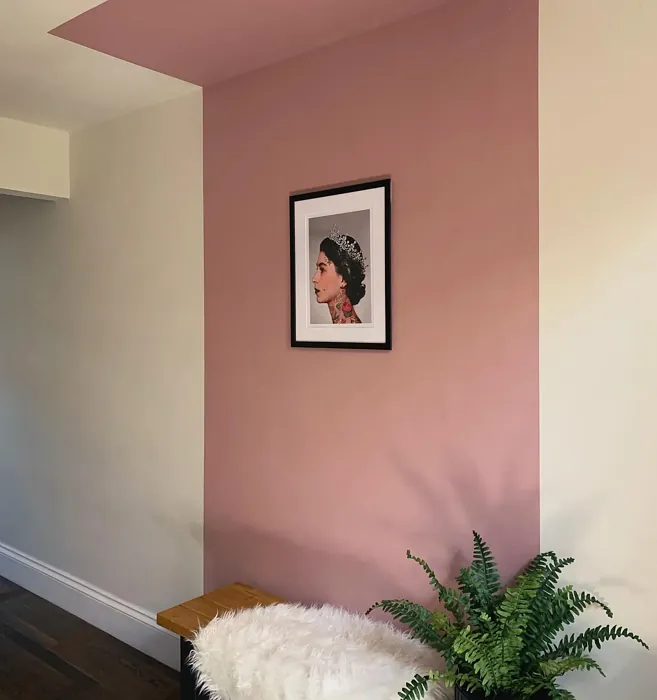 Dulux Pressed Petal wall paint color-block