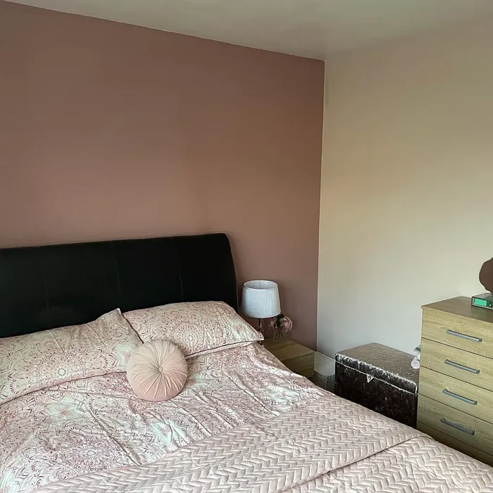 Dulux 10YR 37/143 bedroom accent wall