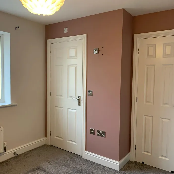 Dulux Pressed Petal accent wall 