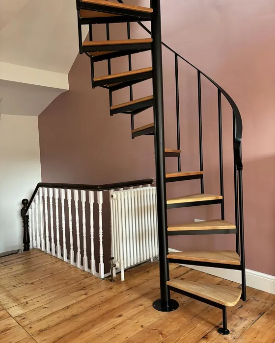 Dulux Pressed Petal stairs accent wall
